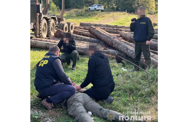 Вимагав 100 000 гривень за відпуск деревини: на Прикарпатті затримали лісничого