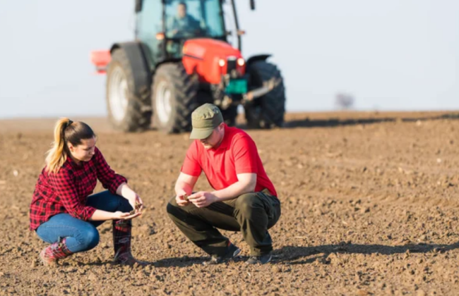 Рада одобрила изменения в правовом регулировании совершения нотариальных и регистрационных действий при приобретении прав на земельные участки за основу