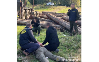 Вимагав 100 000 гривень за відпуск деревини: на Прикарпатті затримали лісничого