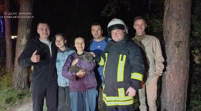 На Київщині бійці ДСНС зняли з дерева жінку, яка намагалася врятувати кота, фото