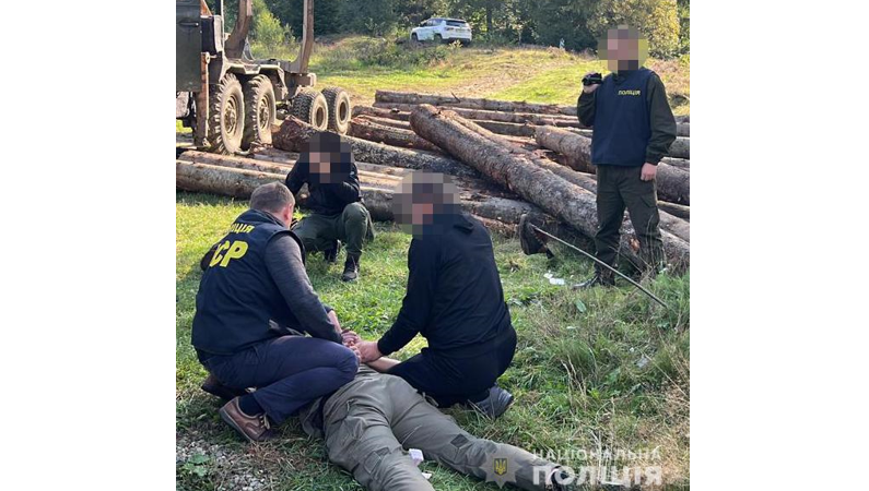 Вимагав 100 000 гривень за відпуск деревини: на Прикарпатті затримали лісничого