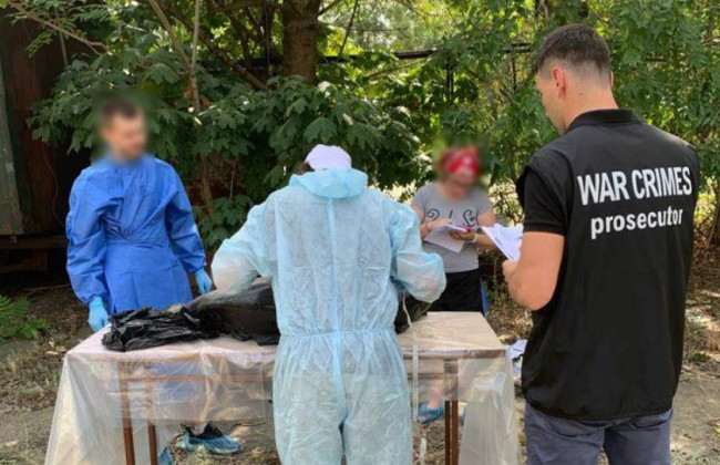 Загибель дельфінів у Чорному морі: прокуратура розпочала розслідування