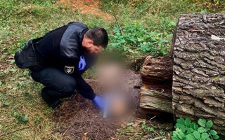 Під Києвом виявили останки людини, вбитої окупантами