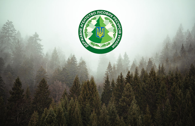 Кабмин сократил предельную численность работников Госагентства лесных ресурсов и реорганизовал его управления