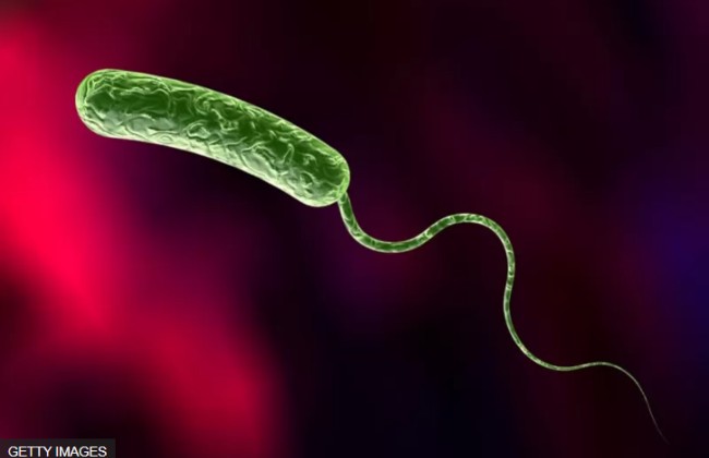 У сирійському Алеппо зареєстровано 16 випадків захворювання на холеру – ЗМІ