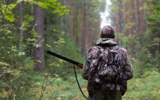 КАС ВС оцінив відповідність підзаконного акта законодавству при розгляді справи про врегулювання порядку селекційного відстрілу тварин