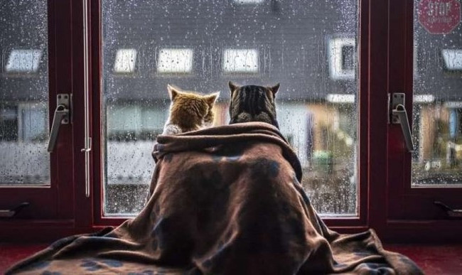 В Україну насувається циклон: що обіцяють синоптики