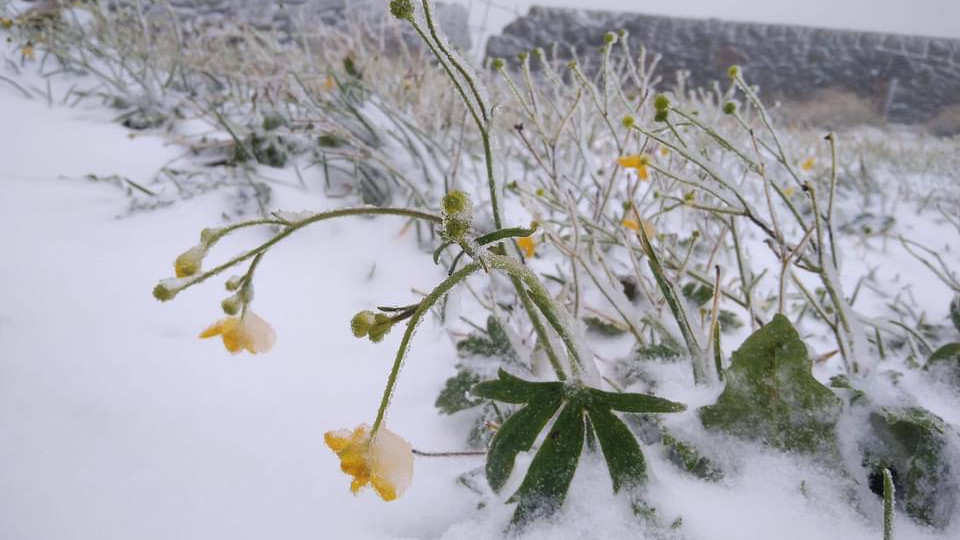 В Україні випав перший сніг: куди завітала зима, фото і відео
