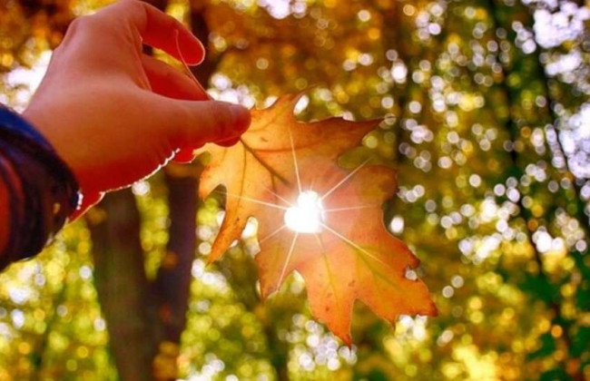 Сентябрь еще подарит тепло: когда в Украину придет «бабье лето»