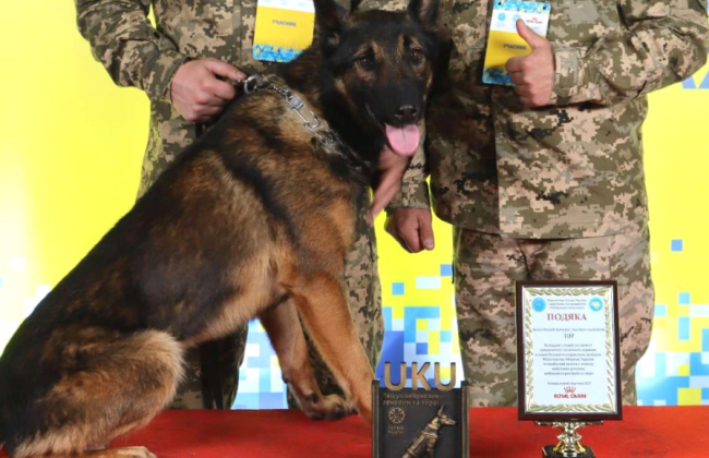 «Чотирилапого розвідника» Тора відзначили нагородою