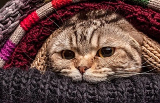 Украинцам сообщили, какой может быть зима в этом году