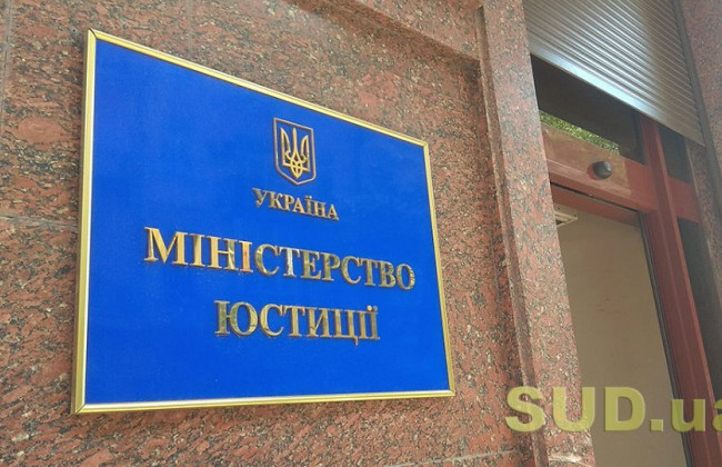 В Минюсте ожидают значительное количество исков резидентов РФ против Украины в 2023 году: названа причина