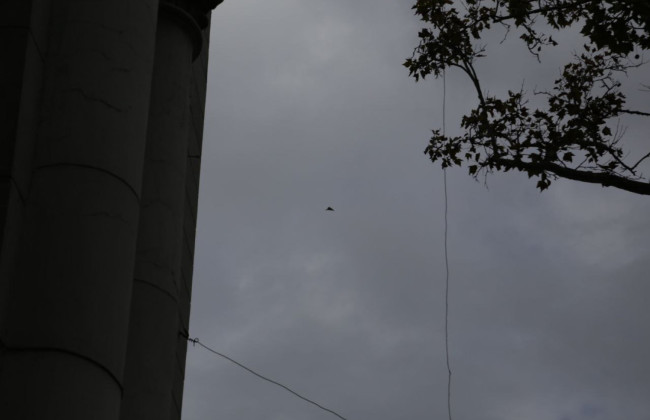 Одессу атаковали беспилотники-камикадзе: в городе слышны взрывы и выстрелы, видео