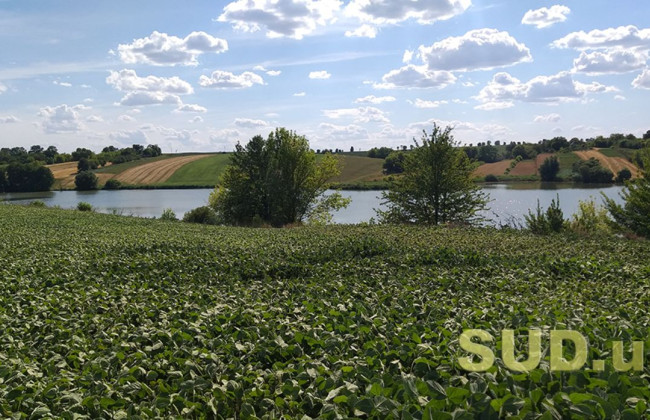 Чи можна отримати земельну ділянку у приватну власність в умовах воєнного стану: роз’яснення