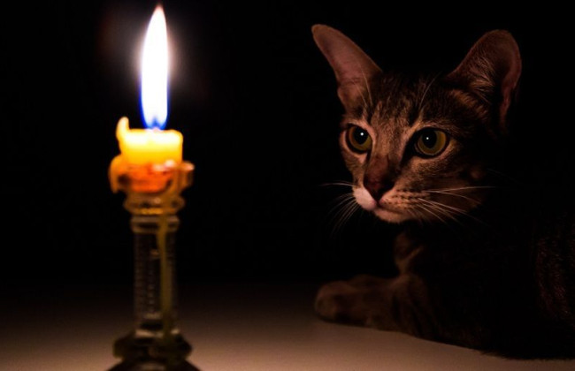 Можливі удари РФ по інфраструктурі: оцінили загрози відсутності світла на Київщині