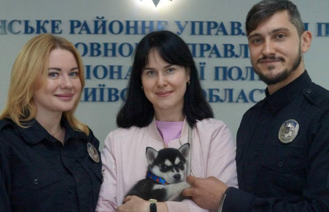 На Киевщине щенок хаски Умки, которую приютили полисмены, нашел семью