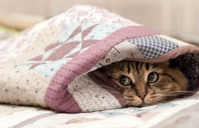 В КГГА сообщили, какая температура будет в квартирах киевлян во время отопительного сезона