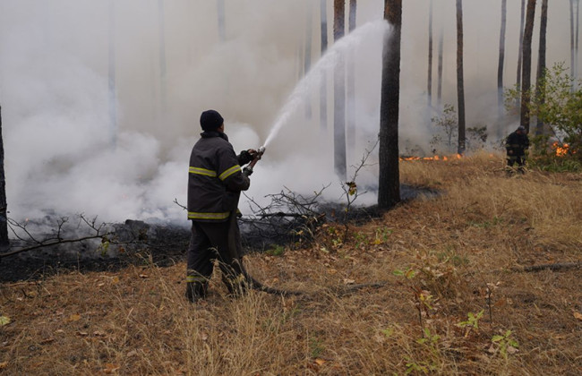 Понад 130 тис грн: палій вперше в Україні заплатить компенсацію за виїзд пожежників