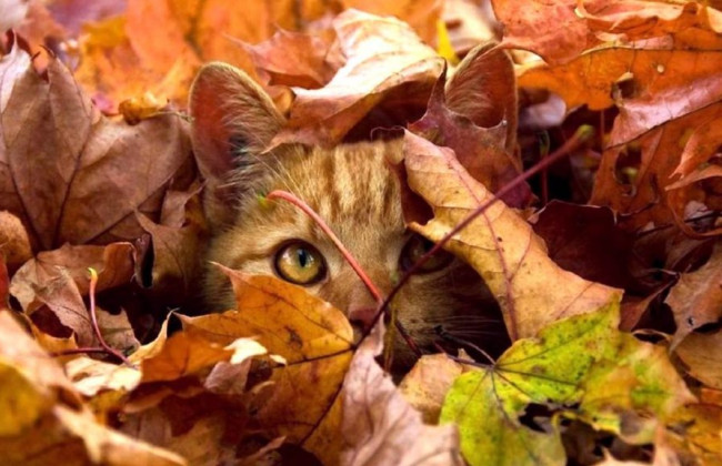 9 октября: какой сегодня праздник и какие основные события