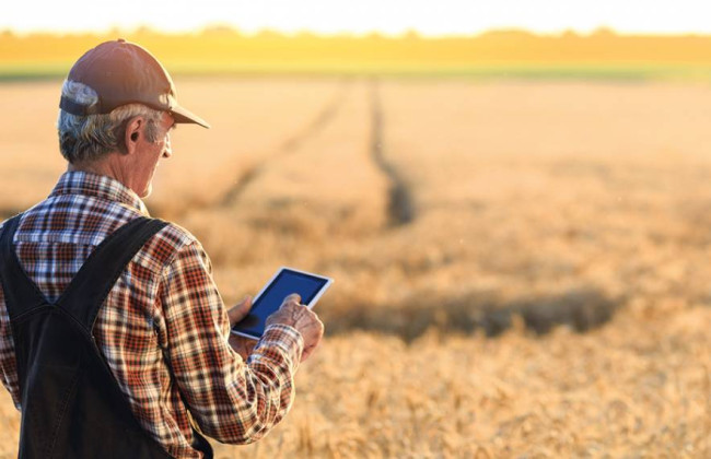 Когда фермер сможет купить землю, которой пользуется постоянно: разъяснение