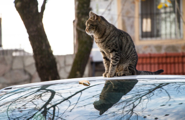 В Укргидрометцентре дали прогноз погоды в Украине на 17 октября