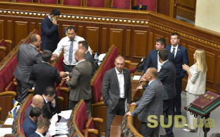Рада приняла за основу законопроект о Национальной программе информатизации