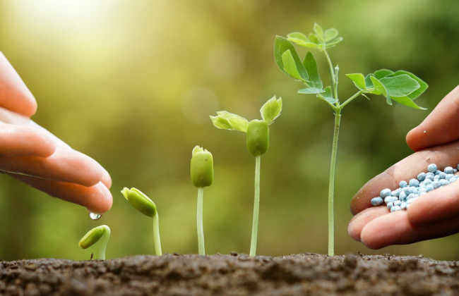 Украина будет инициировать введение эмбарго на российские удобрения, – Минэкономики