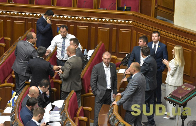 Рада приняла за основу законопроект о Национальной программе информатизации