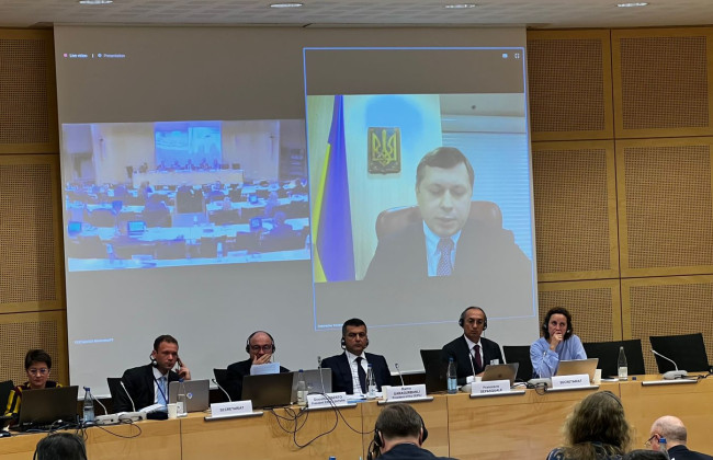 Ярослав Головачов взяв участь у засіданні Мережі пілотних судів Європейської комісії Ради Європи з ефективності правосуддя (CEPEJ)
