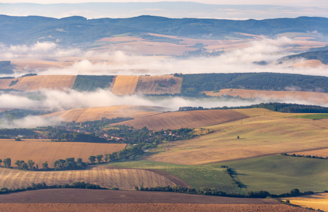 Рада ухвалила закон про повернення оренди сільгоспземель через аукціон: є умова