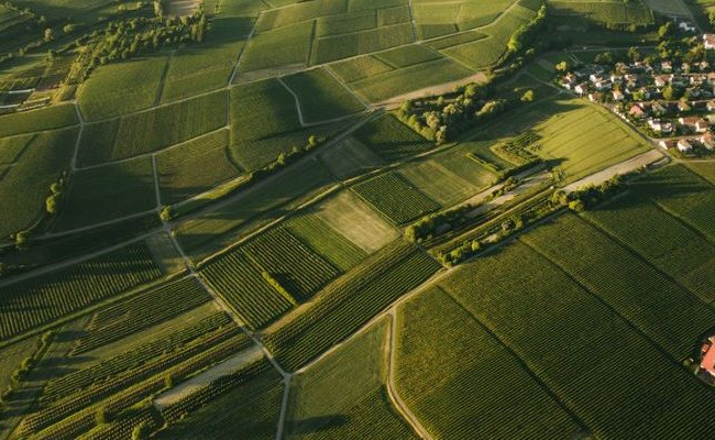 В Госгеокадастре введено автоматическое формирование выписок относительно нормативной денежной оценки земельных участков населенных пунктов