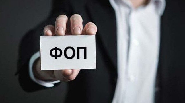 В Раде зарегистрировали законопроект об осуществлении предпринимательской деятельности домохозяйств без регистрации ФЛП: есть ограничения