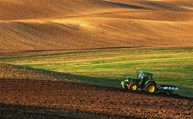 Рада возобновила правила оформления аренды на участки сельхозназначения