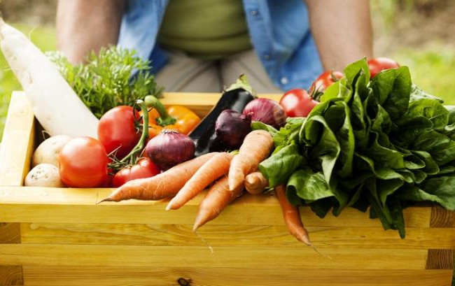 Какие налоги нужно платить с доходов от продаж собственной сельхозпродукции