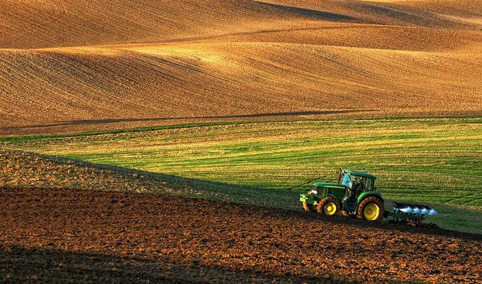 Рада возобновила правила оформления аренды на участки сельхозназначения