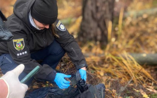 В лісі на Київщині знайшли тіло вбитого окупантами чоловіка