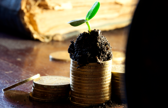 Сплата податку на нерухомість в період дії воєнного стану: особливості