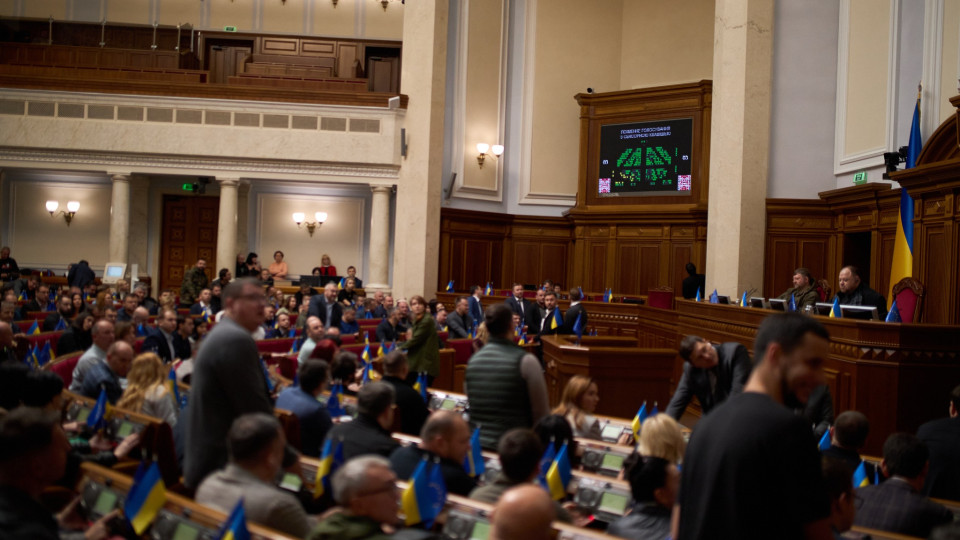 В Раде зарегистрировали проекты постановлений о досрочном прекращении полномочий нардепов Рабиновича и Васильковского из-за потери гражданства: документы