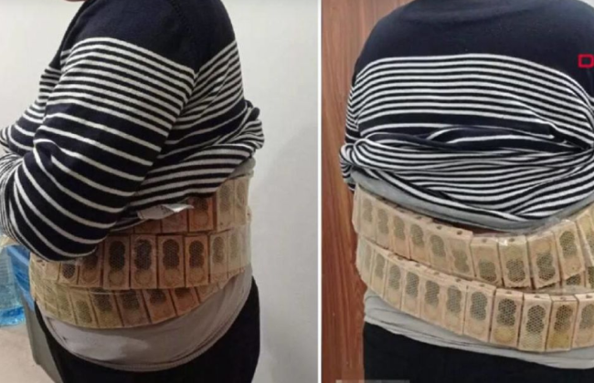 В Турции изобретательный контрабандист из Грузии пытался провезти 1100 пчел на талии: фото