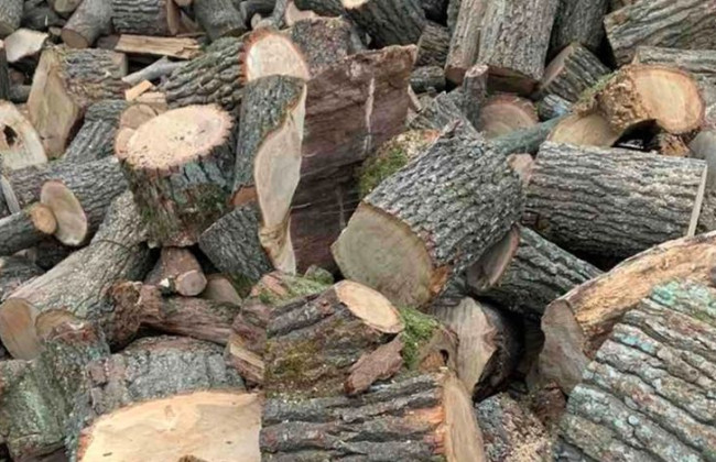 Бесплатные дрова для украинцев: кто получит и когда начнут доставлять