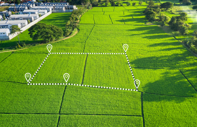 Яка вартість земельної ділянки зазначається у «нульовій» декларації