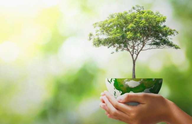 Ведение Единого реестра стратегической экологической оценки: что предусматривает правительственный проект Закона