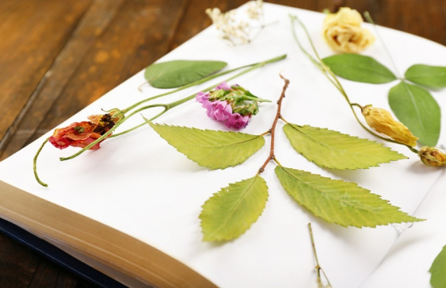 Уряд надав 8 науковим об'єктам статус національного надбання: перелік