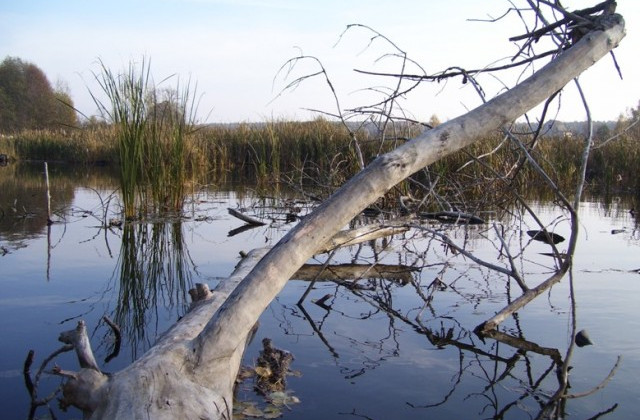 Прокуратура повернула державі 777 га природно-заповідних земель лісового заказника «Урочище Унава»