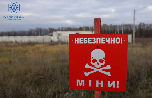 Мінреінтеграції спільно з Міносвіти запропонували опрацювати включення обов’язкового інформування з мінної безпеки в освітніх закладах