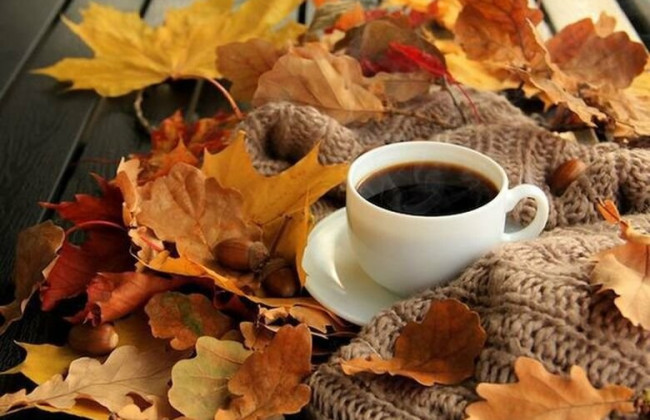 10 ноября: какой сегодня праздник и основные события