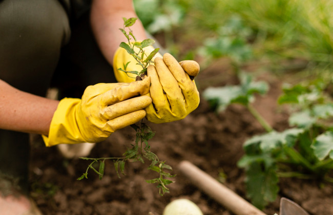 С 2023 года владельцам или пользователям земельных участков придется платить минимальное налоговое обязательство за свой пай – Мартын