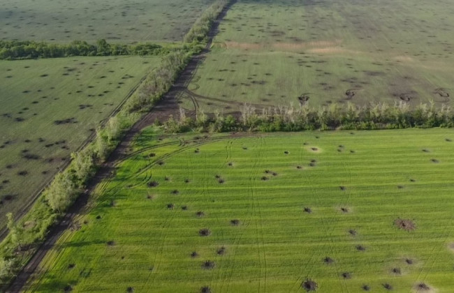 Рада может временно освободить от уплаты единого налога сельхозпроизводителей, находившихся в оккупации – комитет поддержал законопроект