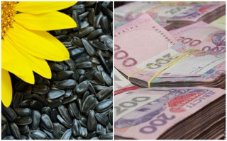 Розтрата зерна на  3,2 млн грн: САП та НАБУ завершили слідство у справі