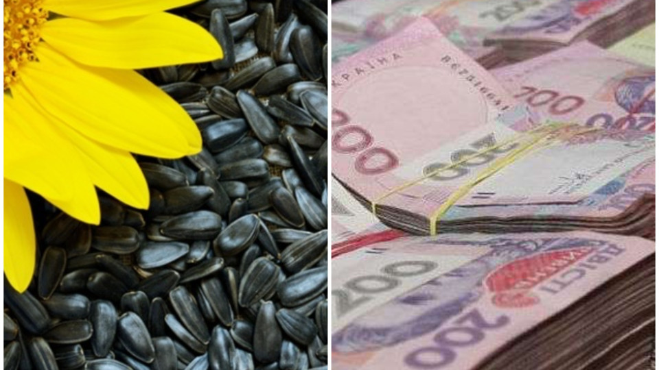 Розтрата зерна на  3,2 млн грн: САП та НАБУ завершили слідство у справі